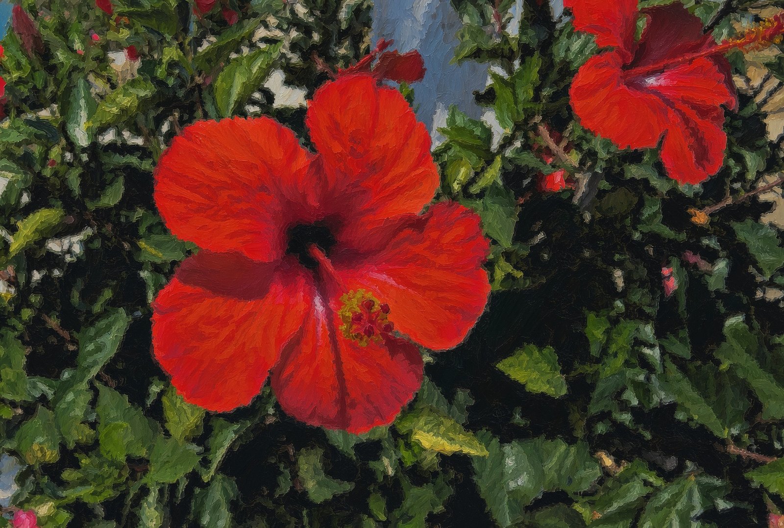 Hibiscus in the Sunshine by Trevor Davis
